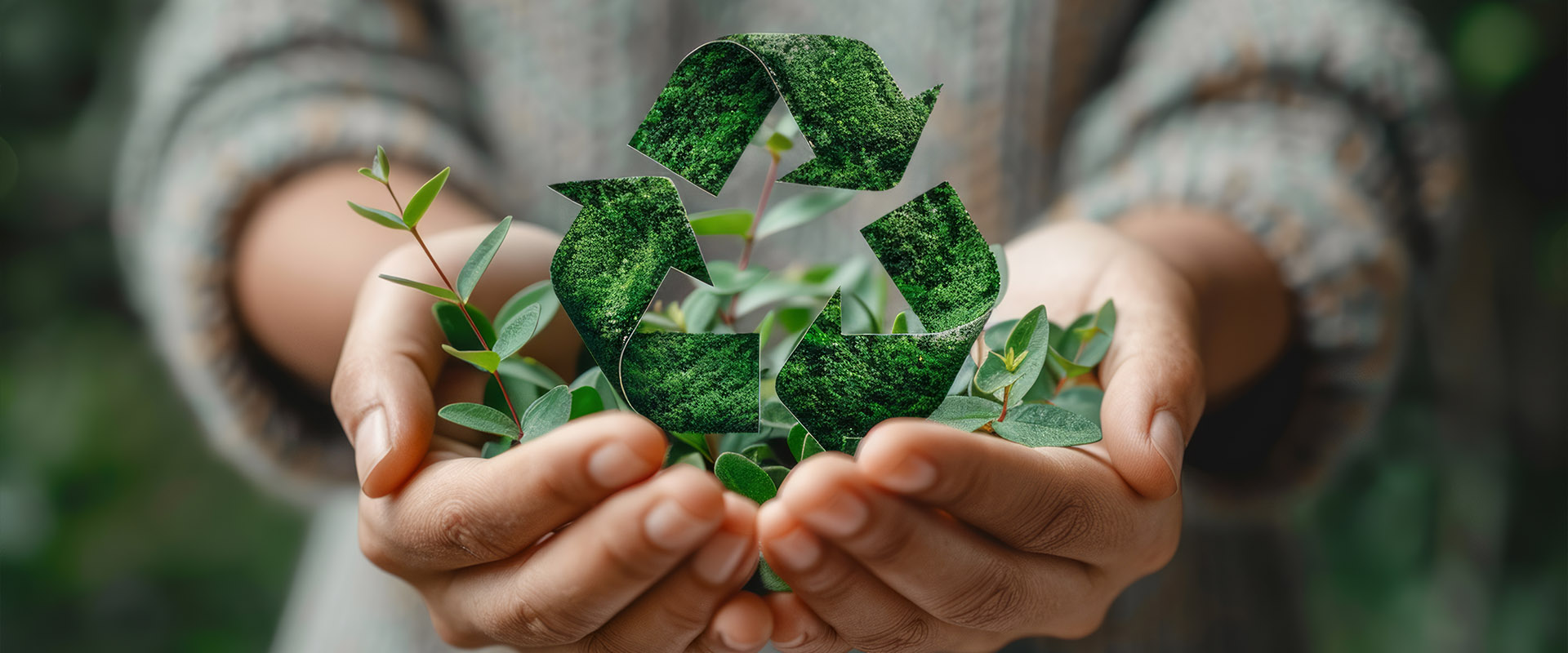 What Size Bin Do Councils Use for Green Waste Collection?